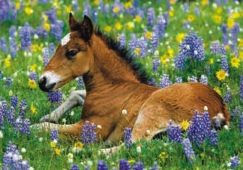 Tak to mělo být...